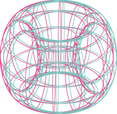 Project 003